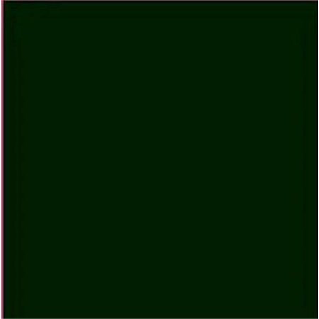 TRU-COLOR PAINT 1 oz Paint, Dark Green Uniforms TCP1425